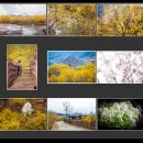 회신마을회관 이미지