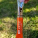 노블덴탈 | 강아지 덴탈 껌, 개껌 간식처럼 잇츄러스 슬림 버라이어티 잇츄 네이버 펫