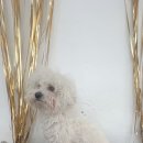 그루밍솔루션 구로점 이미지