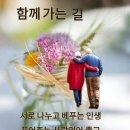 흥룡초교 이미지