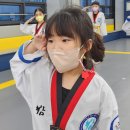 정음태권도 이미지