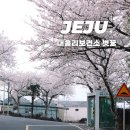 대흘소공원 네이버블로그