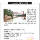 행복한 소풍 야영장 이미지