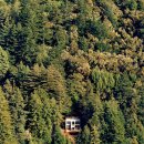 자연의집 이미지