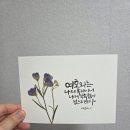 썬캘리그라피