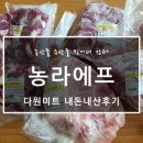팜팜미트