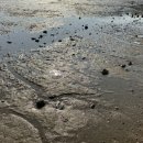 한들 주유소 이미지