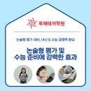 루체테솔루션 이미지