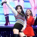 수진스포츠 이미지