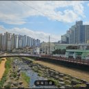 양덕부동산중개사무소 이미지