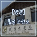 양양 벚꽃 여행 둘째날 ㅣ "여기가 진짜 카페가 맞아요?" 처음엔 반신반의했던 <칠성조선소>