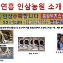 연흥농장 Daum카페