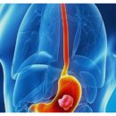 위담한의원 | 전주 효자동 속 편안함 되찾기 – 위담한의원 전주효자점 방문기 &amp; 정보