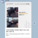 팬지앤발바닥천국 | 미아역 PT 라이프빌딩짐 헬스장 | 체형교정 전문 강희주 트레이너 피티 1주차 후기