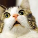 타일공사 이미지