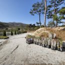 순천펜션 702 이미지