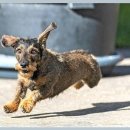 계양동물병원 이미지