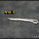 하이카동백점 네이버블로그