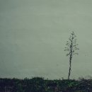 백두농장 이미지