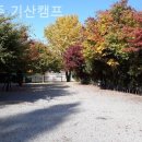 파주기산캠프 이미지