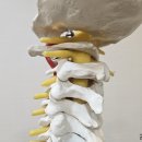 마름모한의원 이미지