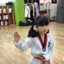 강일태권도 이미지