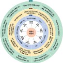 마리아A+ 이미지