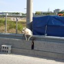 원덕읍사무소 이미지