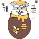 라인앤라운드 이미지