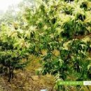 유수농장 이미지