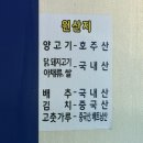 홍화 양고기
