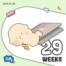 고향애맛 | 임신일기 #9 29주~31주차 입체초음파 및 만삭사진