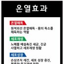 심플체온&테라피