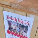 탐나금악 협동조합 이미지