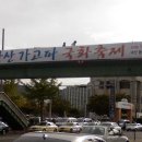 제8회 마산 가고파 국화축제 이미지