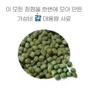 코이푸드 이미지