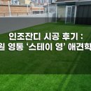 스테이영 애견학교 이미지