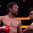 투혼복싱 이미지