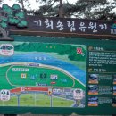 기회송림 화장실 이미지