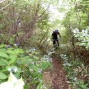 숲.MTB