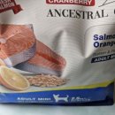 카니코리아 이미지