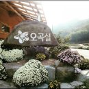송실농장 네이버블로그