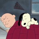 유성언니여성의원 이미지