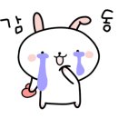플로정아 - 11733 | 플로정아