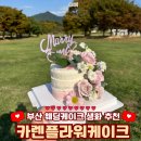 중앙플라워(생화) | 부산 웨딩케이크 카렌플라워케이크 생화케이크 야외웨딩촬영후기