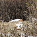 포천관광안내소 | 포천 1박 2일 여행 feat.국가유산 방문캠페인 여권투어 코스