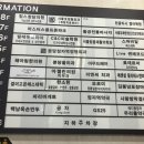 스파나무정자점