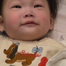 구티 - 북구 호계매곡1로 32 | 울산 업스퀘어 팝업 구티베이글 두바이 베이글 솔직후기