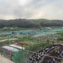 문양농장 이미지