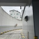 베이비하우스 위례점 이미지